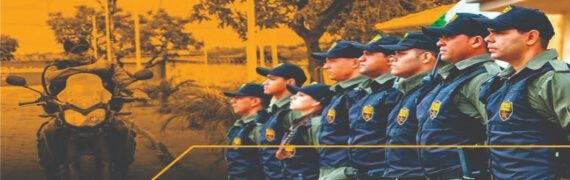 Vigilância Armada/Desarmada